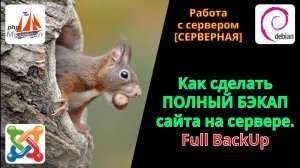 Как сделать полный бэкап сайта на сервере. Full BackUp