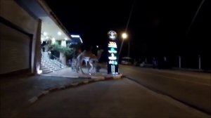 Ðагазин СаÑаÑи (подаÑки ÑÑвениÑÑ) Houda Golf & Beach Club 3*..mp4