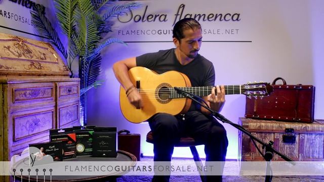 Francisco Sánchez 2023 (blanca) flamenco guitar for sale played by José Andrés Cortés смотреть онлайн