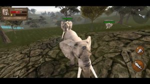 Ultimate Elephant Simulator - Animals Battle | Wild Animals | RKM Gaming | Wild Elephant | #18