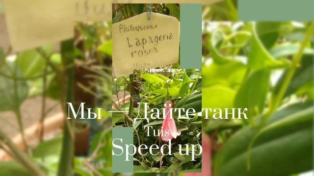 Мы — Дайте танк || speed up song || смотреть онлайн