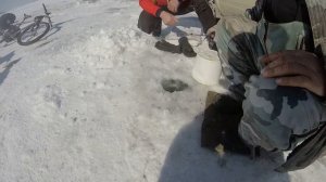 зимняя рыбалка на озере Балхаш