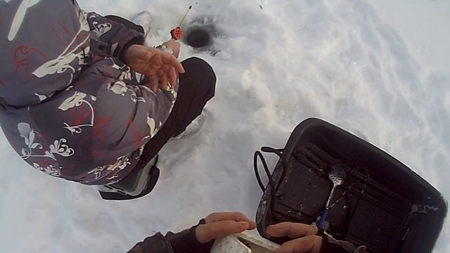 Мотобуксировщик Лидер 3Н. На рыбалку на ИЖ смотреть онлайн