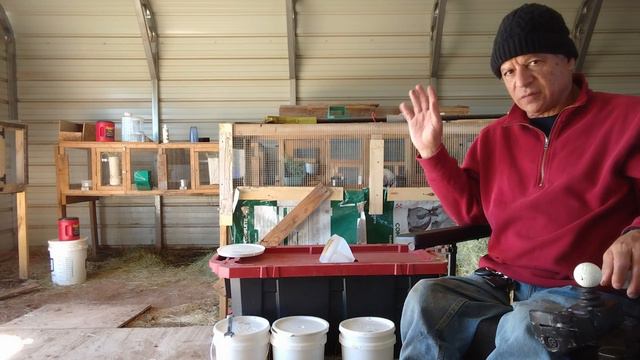 Update On Fermented Chicken Feed & Chicken Coop Roof Repair