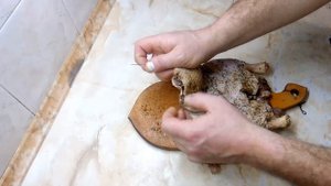 Утка без костей к праздничному столу