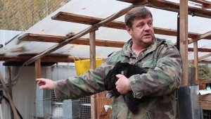 Хороший парень: о кроликах, курах и БАННОМ ЧАНЕ