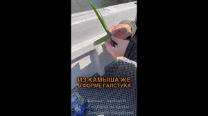 Рыбалка. Ловим амура.