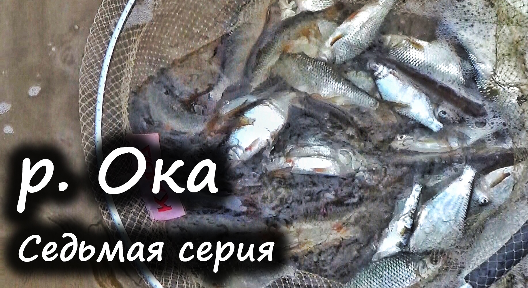 Осенняя ловля и рыбалка на реке Ока. Окская Эпопея СЕРИЯ #7.