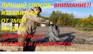 БОИТЕСЬ ЗМЕЙ НА ДАЧЕ, ЕСТЬ ОДНО ПРОВЕРЕННОЕ СРЕДСТВО, ЗМЕЙ В УЖАСЕ БУДУТ ОПОЛЗАТЬ ВАШ УЧАСТОК.