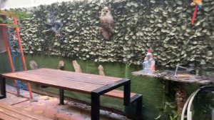 Адлер,отель Виктория,обзор территории.mp4