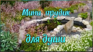 Мини прудик для души.