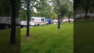 Звук сирены скорой помощи + сигналы в пробке