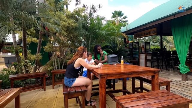 Mystic Mountain Bobsled and Sky Explorer | Ocho Rios - Jamaica смотреть онлайн