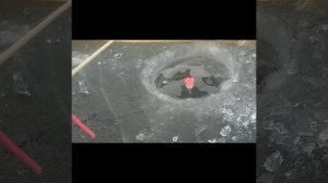 Красивый поплавок для зимней рыбалки