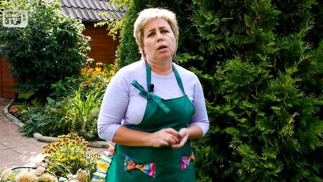 Луковичные растения в саду ? Полезные советы по выращиванию от HitsadTV