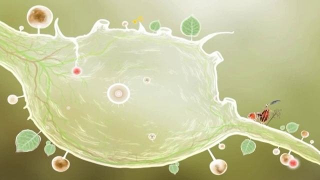 Botanicula обзор игры