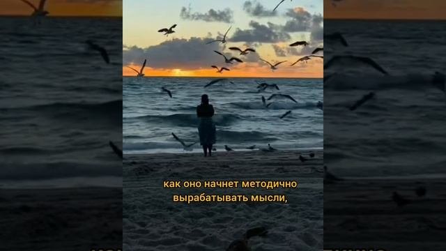 Стоит только подсознанию воспринять какое-то убеждение или идею, независимо от того, верна она или н