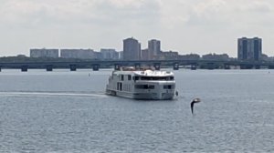 Теплоход "Штандарт" в Саратове перед швартовкой.