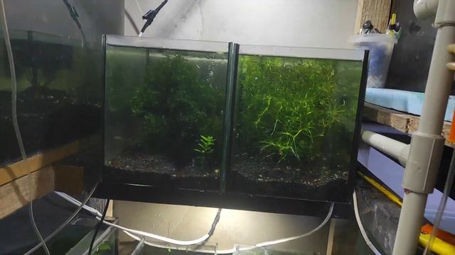 Всего по немного. День налегке... смотреть онлайн