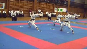 KATA KAMINARI | 不動館 | Fudokan Shotokan | Belarus karate Team | Ката КАМИНАРИ | ката Фудокан каратэ
