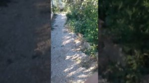 как сделать груши для бокса и макивару