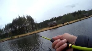 Рыбалка  с семьёй на ФОРЕЛЕВОМ ХУТОРКЕ. Форель на кренки . #ЖизньРыбака#ФорелевыйХуторок #рыбалка