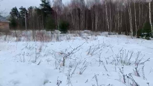 Видео Школьная 10 б