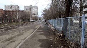 Американский питбультерьер. Прогулка с питбулем. Послушание. Дрессировка.