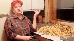 Как сушить лисички? Лучше всего до 41 градусов Цельсия.