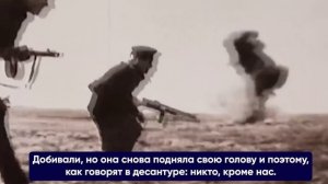 Говорит доброволец БЕРК