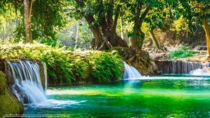 Музыка Фалунь Дафа для медитации - Pu Du