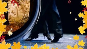 Осень , прозрачное утро !