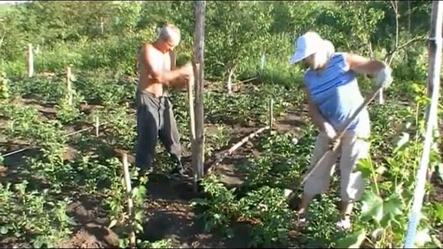 уст. столбы.flv смотреть онлайн