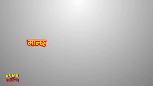 Bachchalai Ke Bhanchha ? || Learn Animal Names in Nepali смотреть онлайн