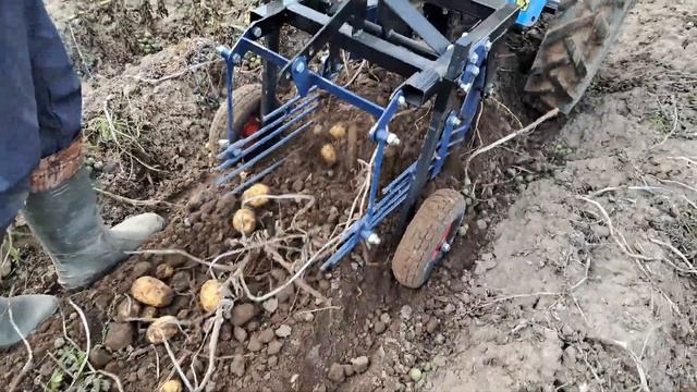 Тандем мотоблока Нева мб23 мультиагро и картофелекопалки Нева ККМ 1. Учимся настраивать. смотреть онлайн