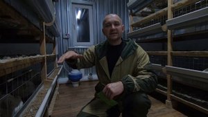 БЕЛЫЙ ПОМЕТ у БРОЙЛЕРОВ. Опять ВОДЯНКА (АСЦИТ)!