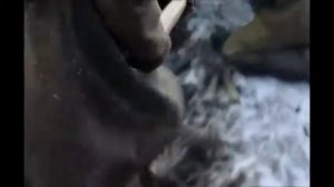 Кино идет минус