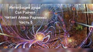 Интеграция души Сэл Рэйчел Читает Алена Радченко Часть 5