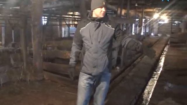 Крестьянско-фермерское хозяйство