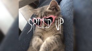 Уляля (speed up)