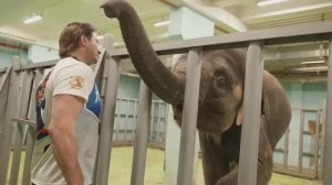 ОТНОШЕНИЕ К ЖИВОТНЫМ В ЗООПАРКАХ И ЦИРКАХ