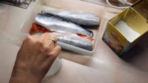 СОЛИМ  рыбу ГОЛЕЦ?