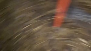 Какие яйца несут Мини мясные куры