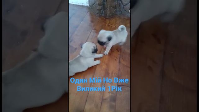 15 червня 2022 р. смотреть онлайн