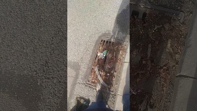 ОСТАВЛЕННЫЙ #МУСОР. #ЛИВНЕВКИ #chișinău смотреть онлайн