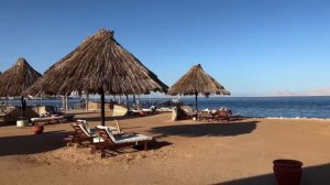 ПИТАНИЕ. РИФ. ПЛЯЖ В ОТЕЛЕ SHERATON SHARM RESORT 5*. ЕГИПЕТ. ШАРМ-ЭЛЬ-ШЕЙХ