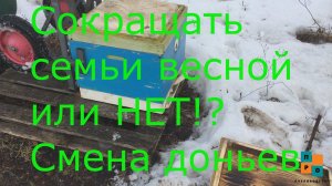 Сокращать семьи весной или нет!? Смена доньев при помощи апилифта. Можно выставлять пчёл в дождь?