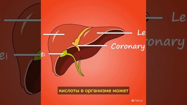 Как избавиться от похмелья с помощью янтарной кислоты смотреть онлайн