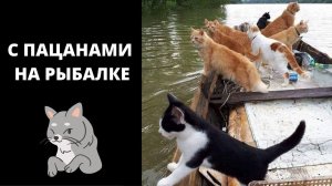 Кот Рыболов.  Кошачья Рыбалка! Приколы с Котами.