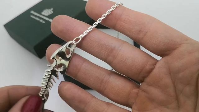 Серебряный ионизатор Сардина смотреть онлайн